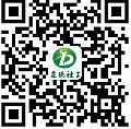 三www.大逼